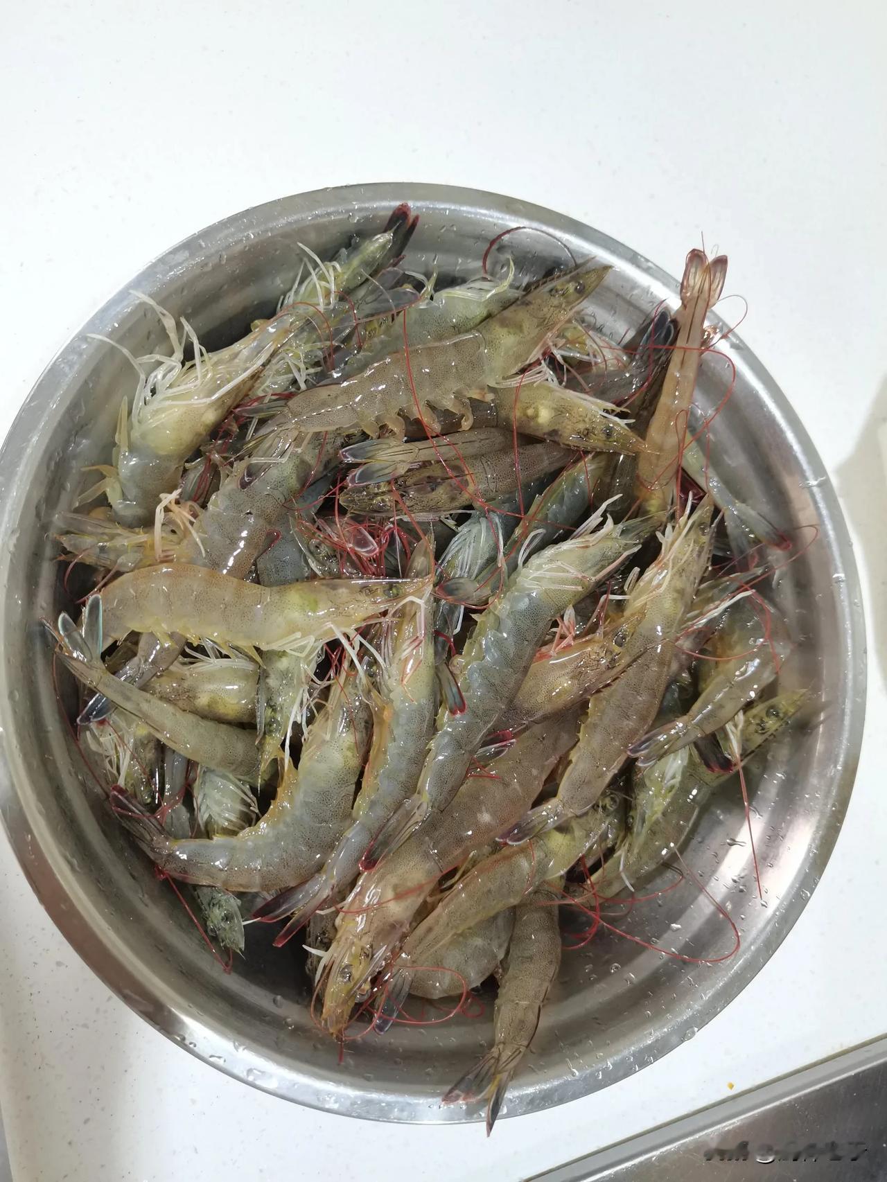 万能生活指南又到吃活虾的季节了！[爱慕][爱慕][爱慕]

活虾好吃，但是过了季