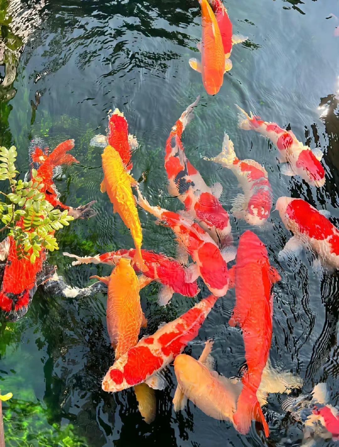 ʚɞ້ໍ²º²³/₁₁/₀₃𖠄🌻无论晴空万里，或大雨滂沱，愿你随心而活，希望