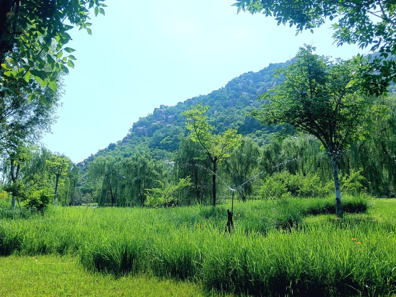 观华山湖
晴光漫照华山丘，碧草连天润自流。
喷雨轻丝浇翠陌，垂杨柔影绕山头。
浓