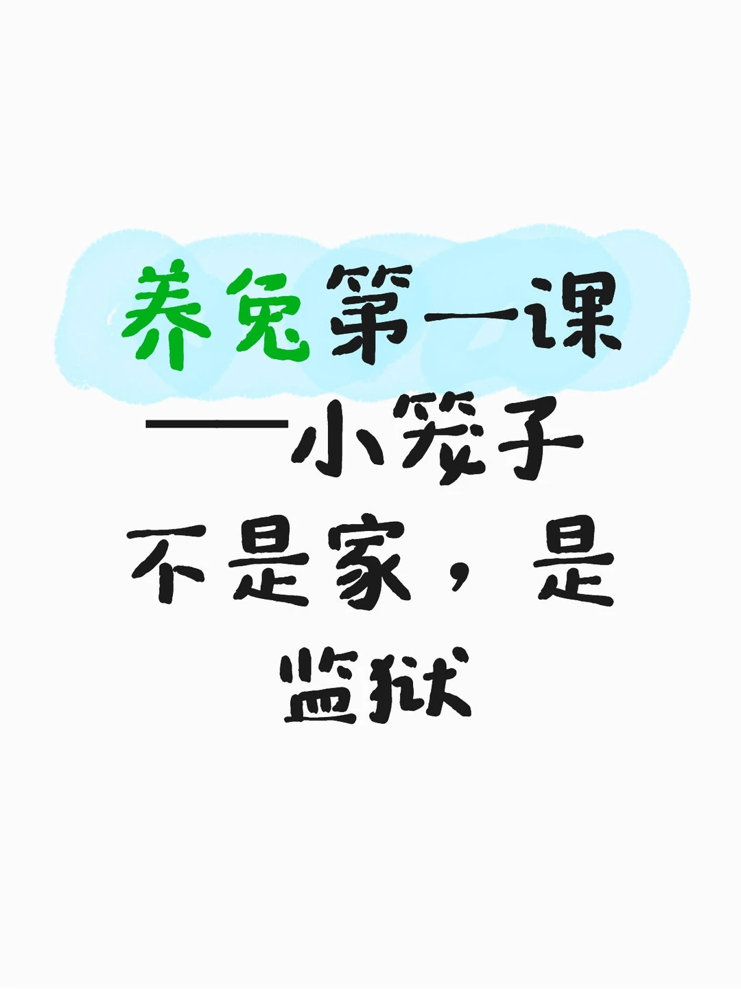 养兔空间不够，健康全毁！