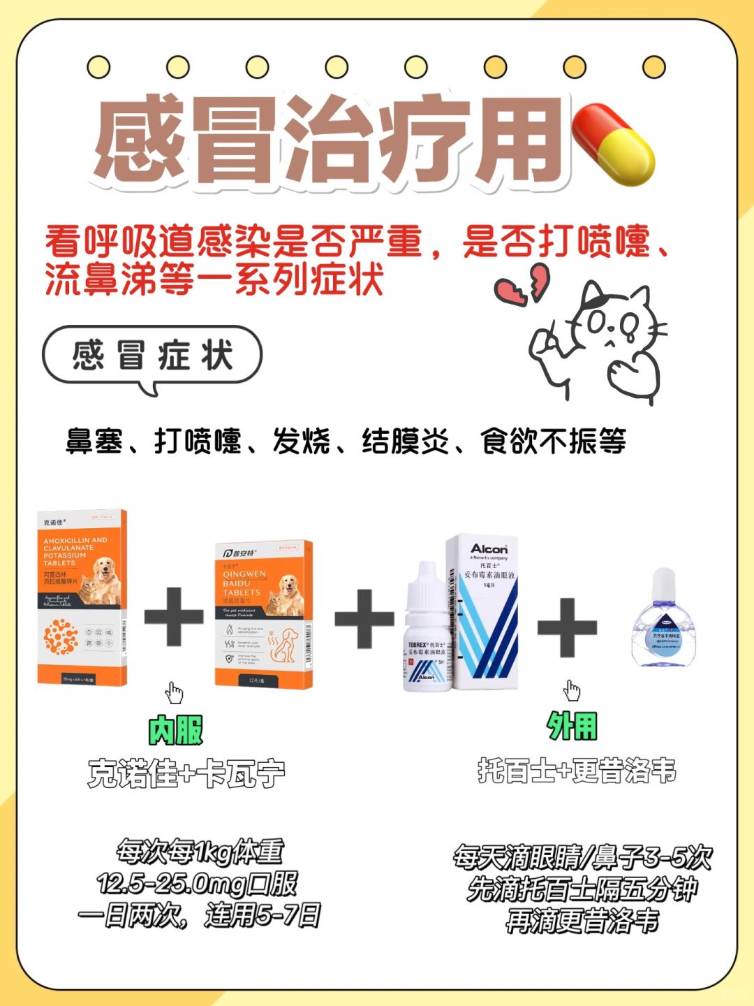 猫咪感冒怎么办？老铲屎官来分享经验！