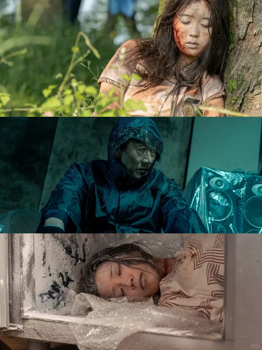 一集一案❗一口气炫完❗每集一个失踪案🆘