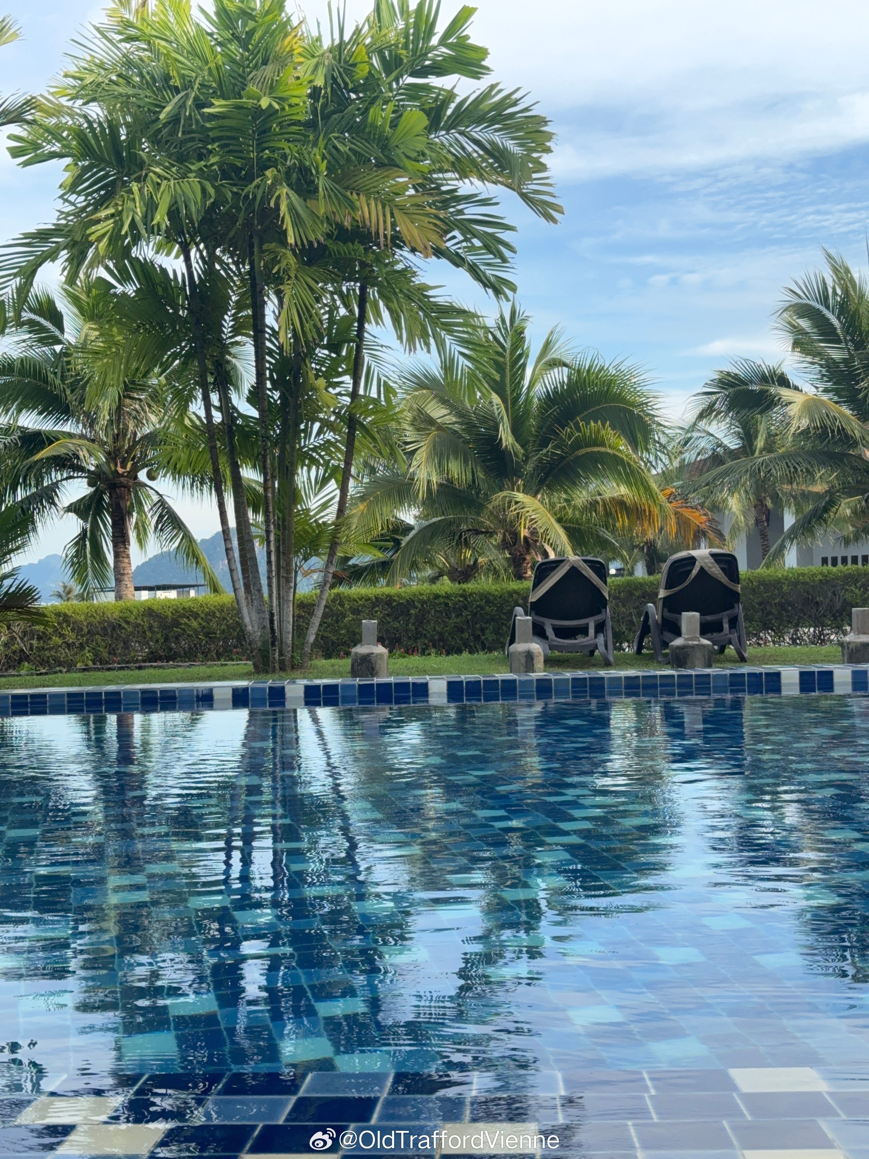 翻翻相册里的“树”🌲去到各个沙滩看到的树总会被一棵树的张力震撼到