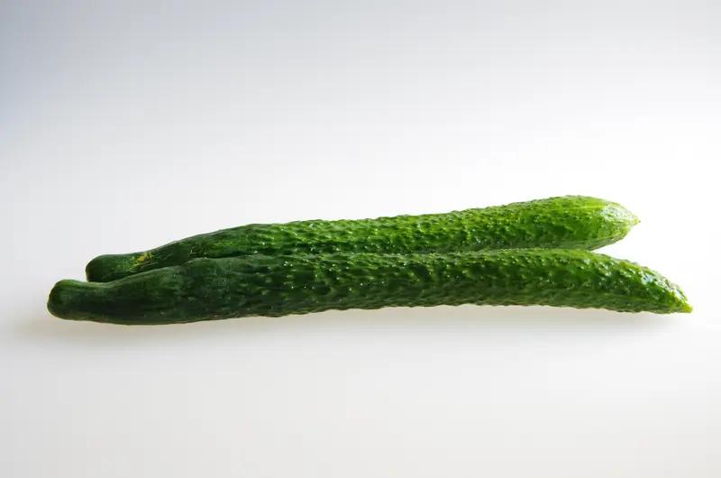 别再拿命换体重！35岁姑娘饿到闭经，这些减肥误区正在毁掉你

真有人把减肥当成“