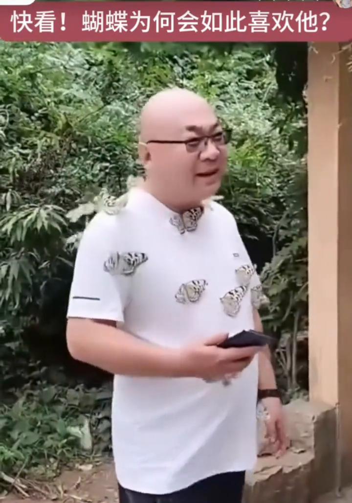 快看！蝴蝶为何会如此喜欢他？