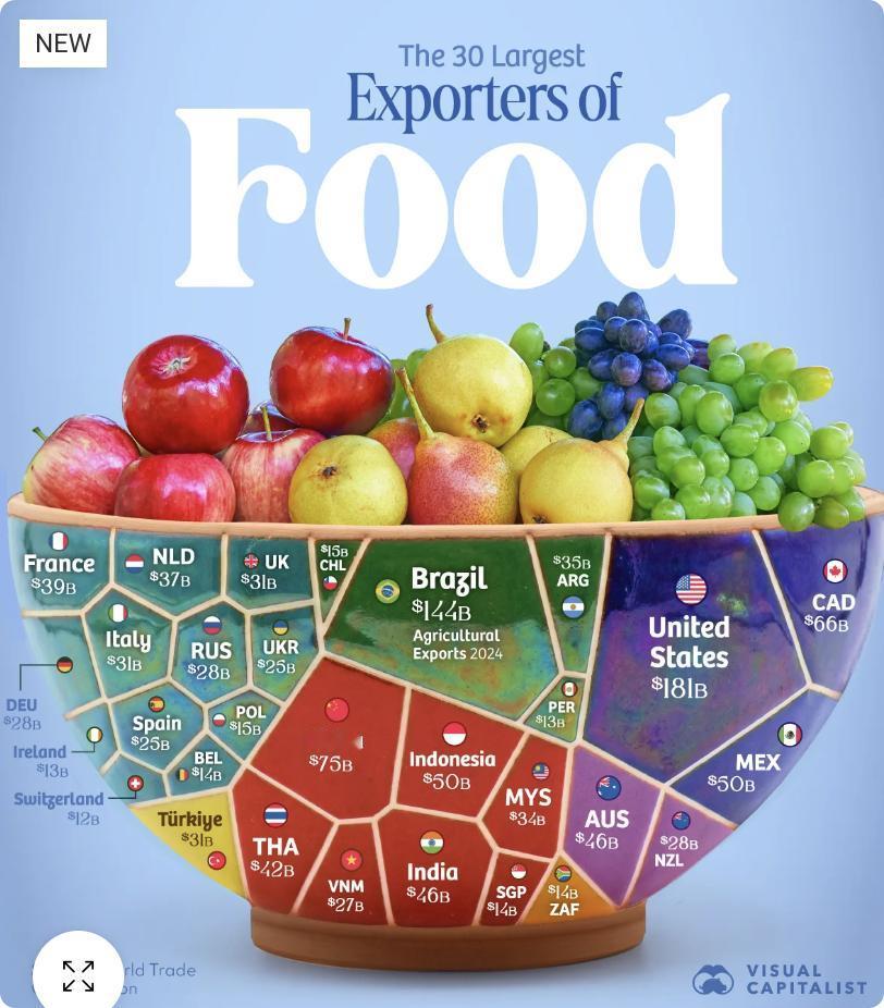 外媒：全球粮食出口高度集中于少数国家。

根据世界贸易组织数据，美国以约1,80