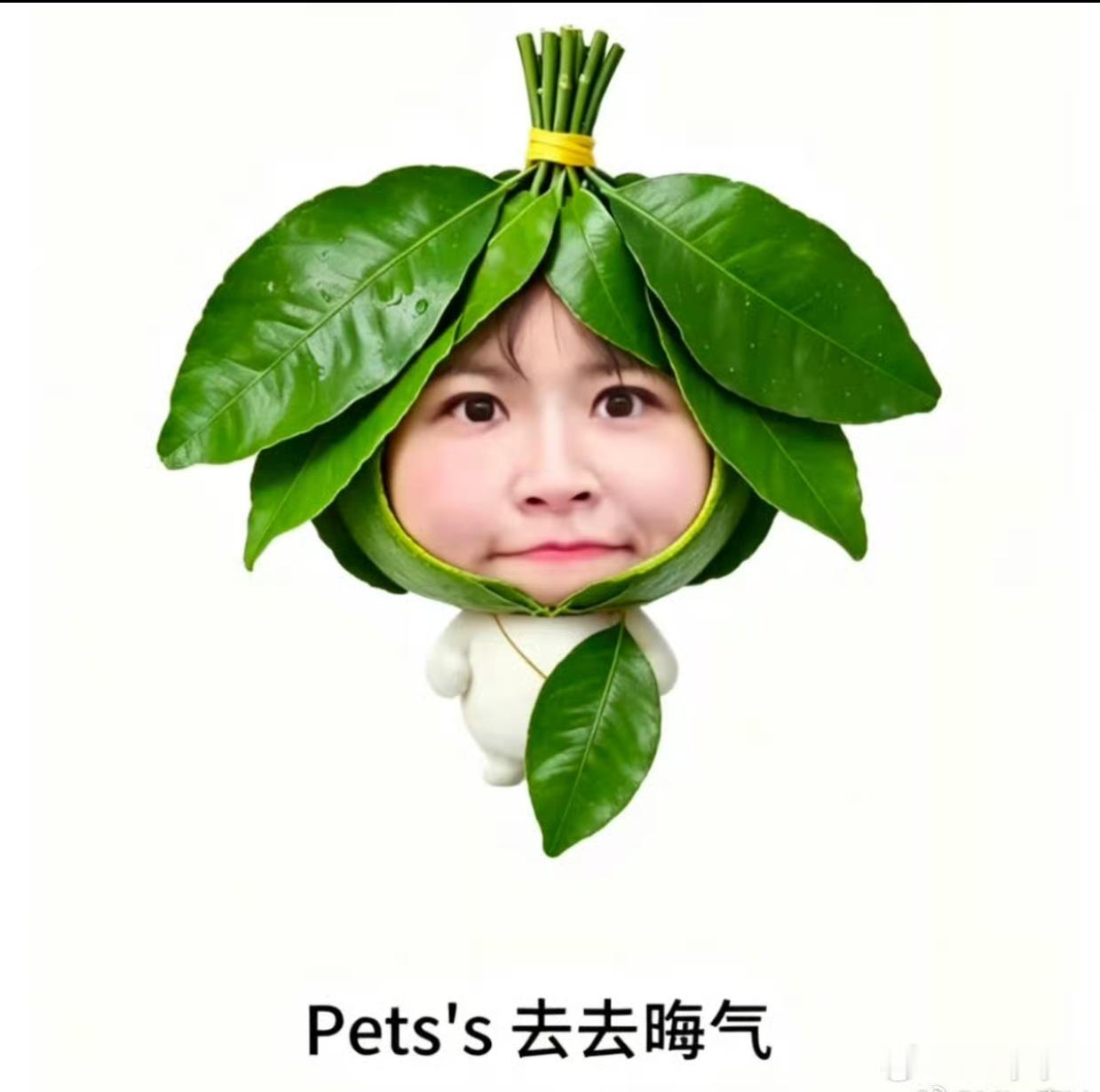 张月 曾沛慈又咋啦？怎么又蹭上来了，这不是第一次了吧，zy不是有CP吗，带她自己