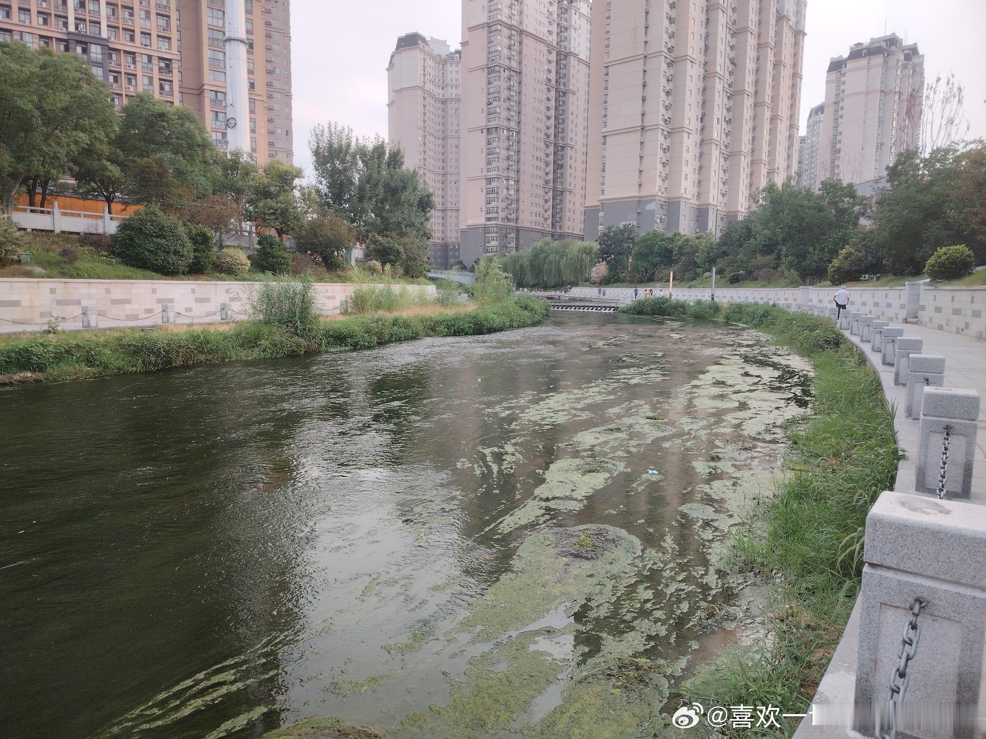 跑河六公里 