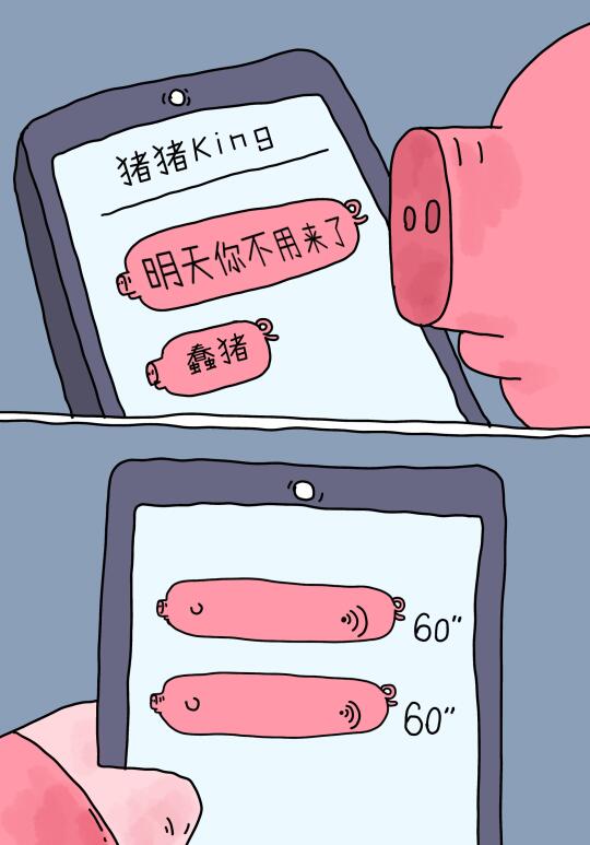 猪的前途一片光明