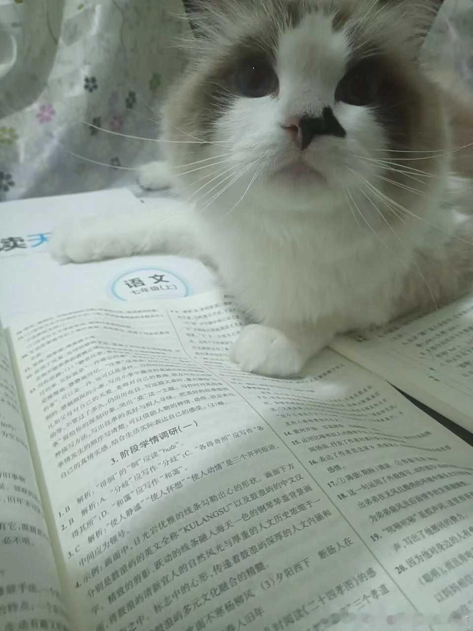 49121【心灵丑】睡觉把我手挠破了还装无事发生！ 