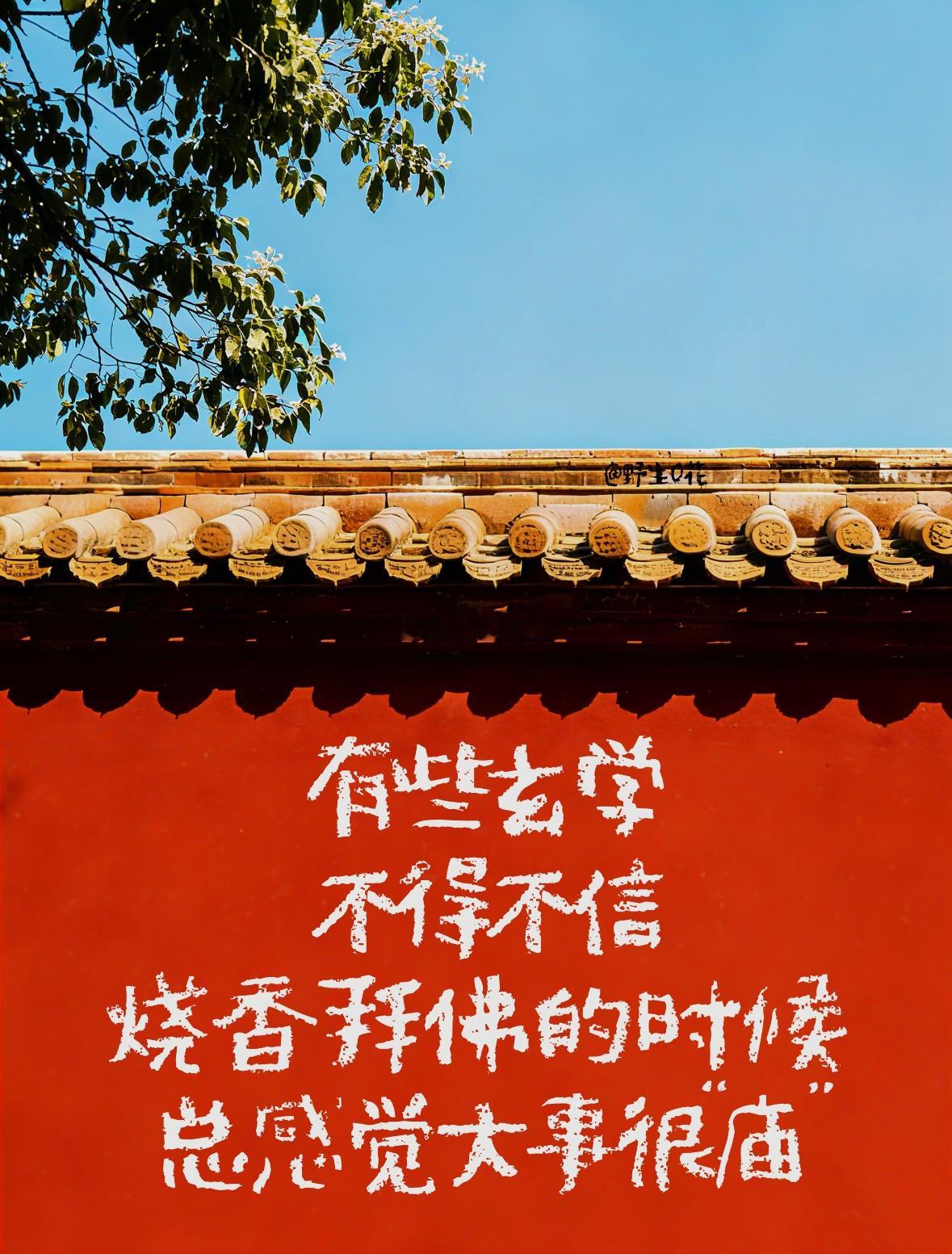【观微知命·酉时收尾】道历四七二三年四月廿五，乙卯日。下午17-19点，酉时，金