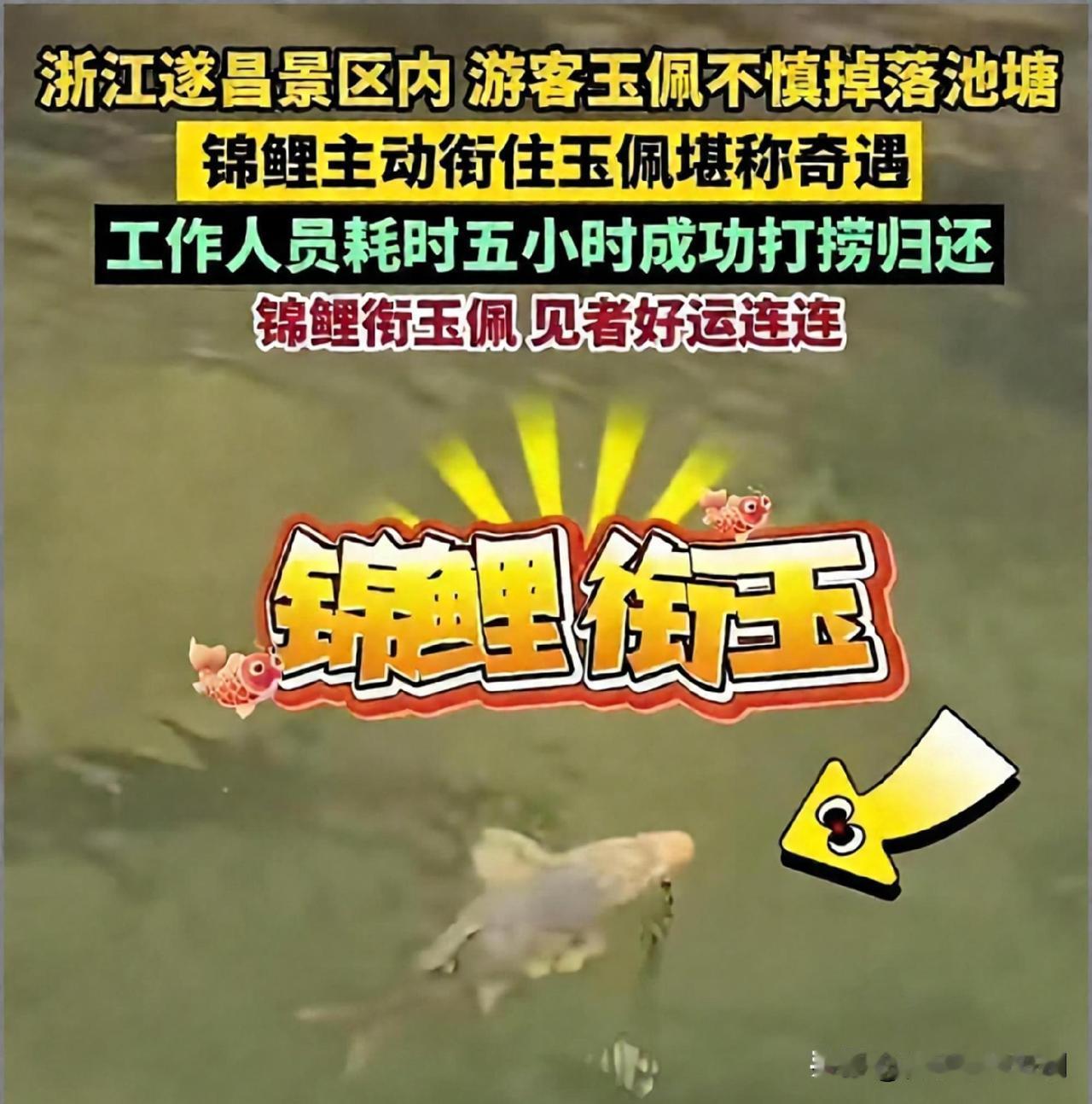杭州西湖边，游客不慎把随身戴的玉佩掉进湖里，正着急打捞，一条金色锦鲤突然游过来，