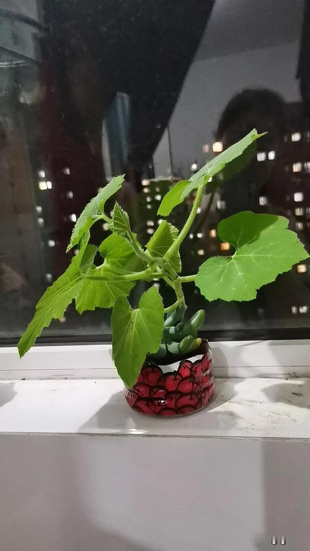 人这一生就像唐曾取经，必须经历九九八十一难，才能取到真经。差一难都不行。
今天听