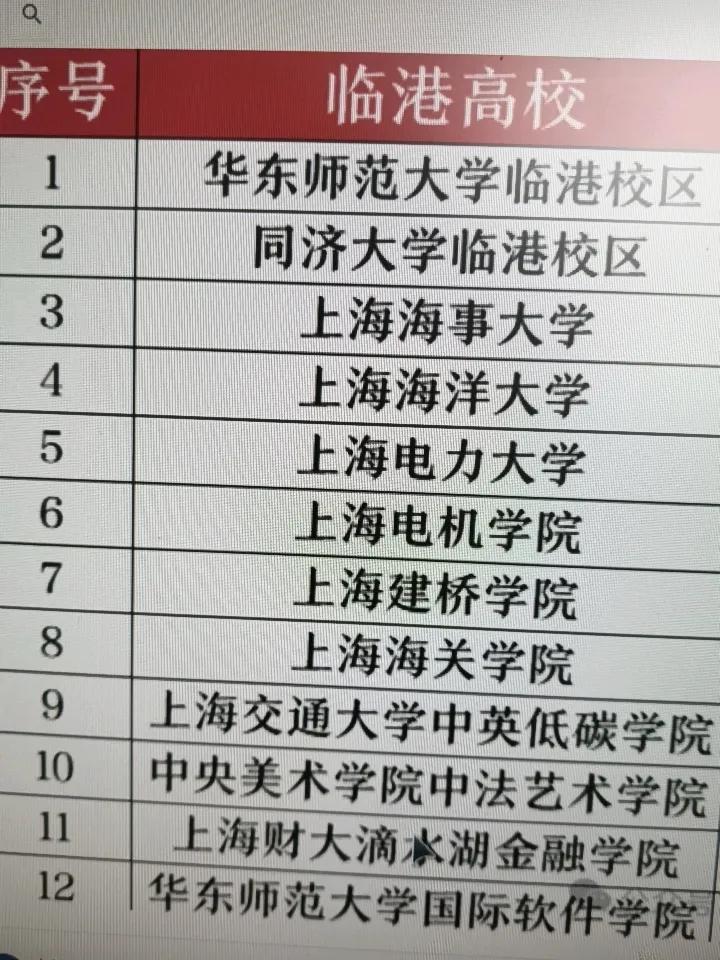 这些都是临港未来能腾飞的底气！大家绝不能无视它！