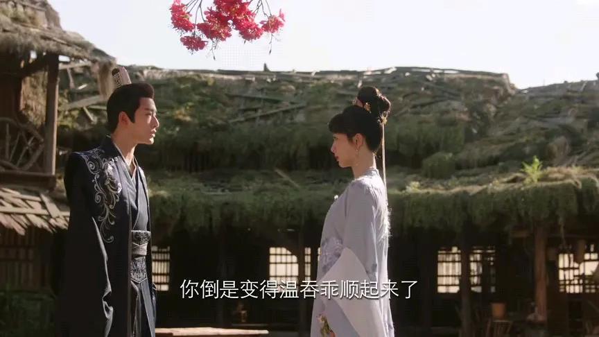 长相思2快播完了，今天，我开始追剧，看的很爽。黑子，是没心的物种。