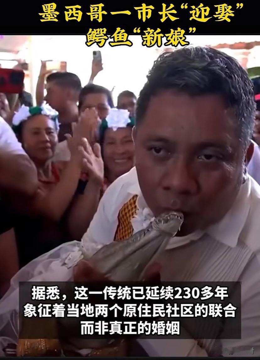 真是大开眼界，墨西哥市长娶个鳄鱼当老婆！还在众目睽睽之下亲吻鳄鱼老婆。

不少网