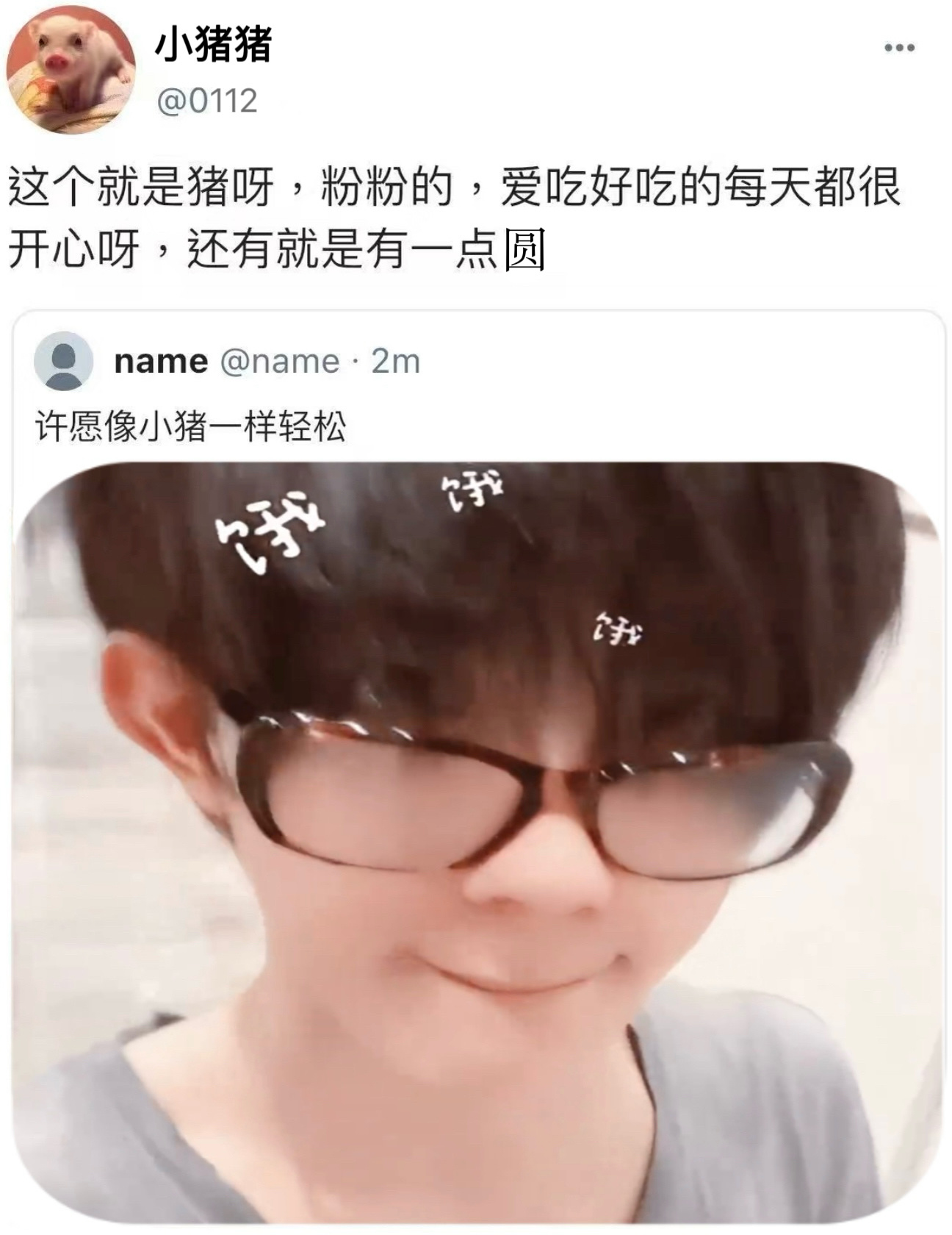 【10260】别看我只是一只猪！ 