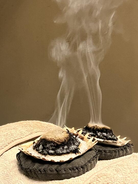 大连首家！大连首家！鳖甲灸太舒服了！