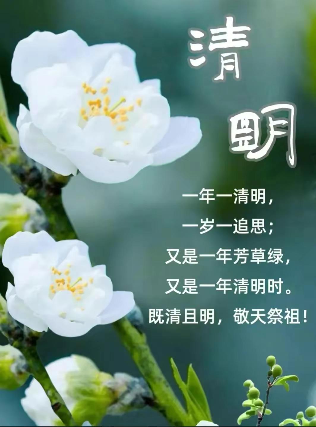 雨打花落哀思慢
十字路口烧纸钱
千里之外未添土
声声悲切化青烟