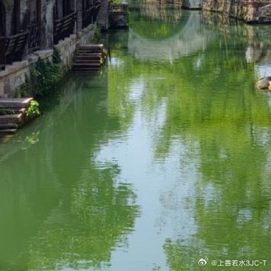 每日一善 向善是一种文明，也是一种光明。善良之举，需要人人拥有，善良之歌，需要人