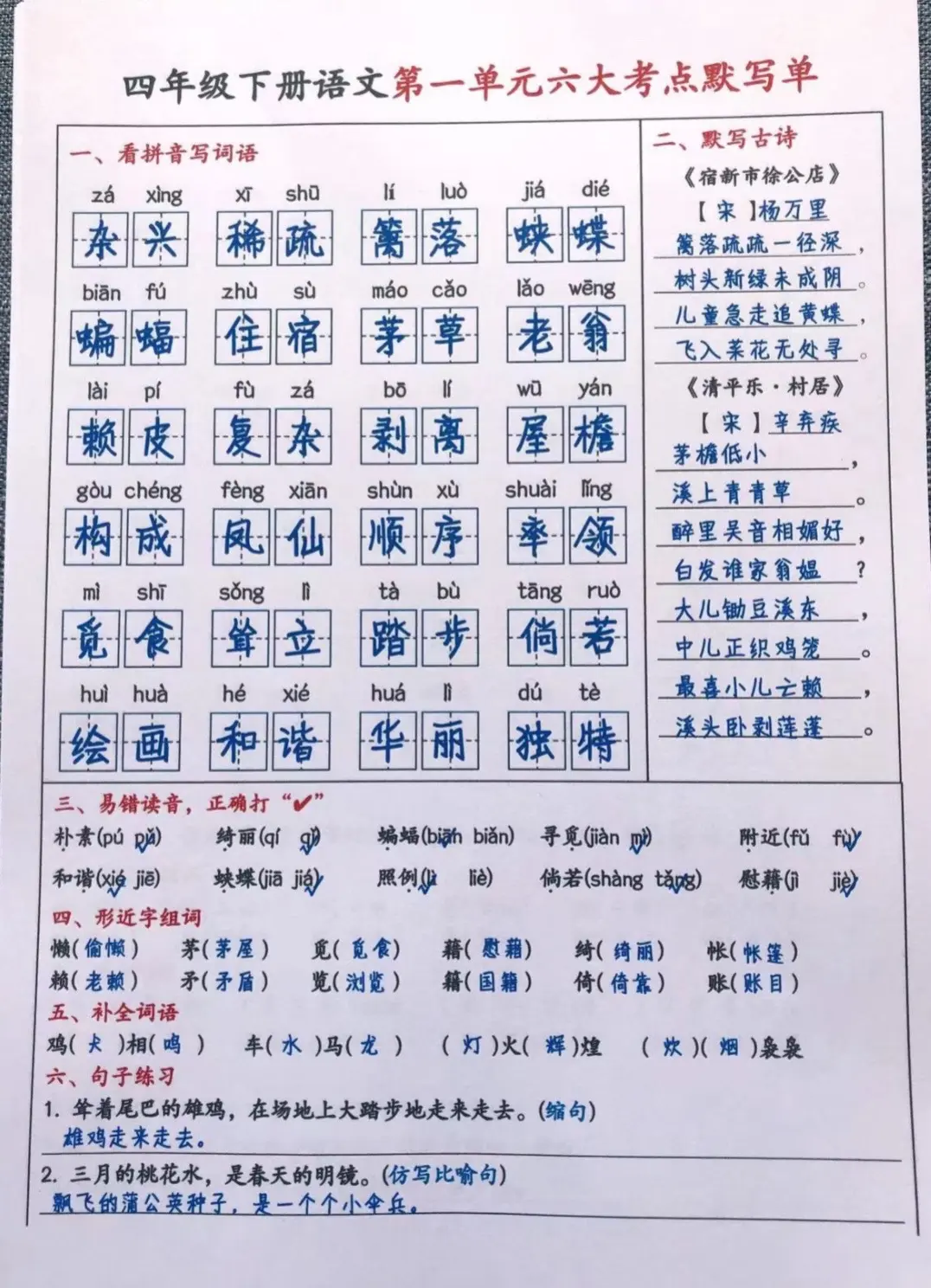 期中复习基础知识点汇总！