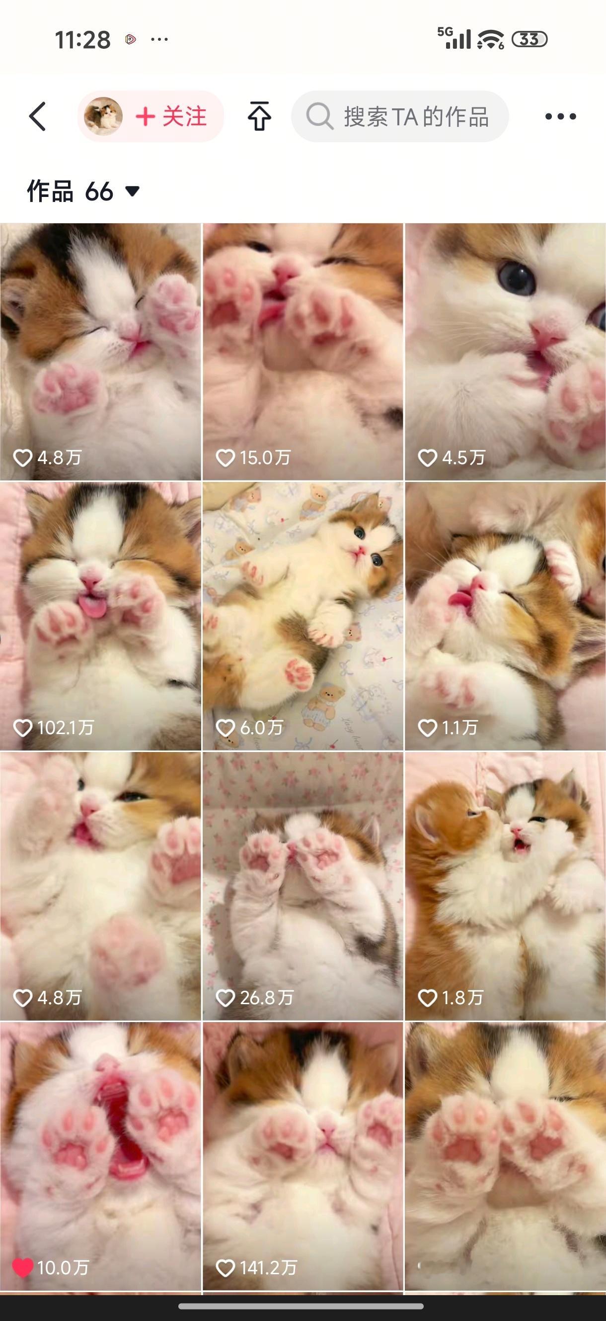 谁敢看这些视频 ​​​