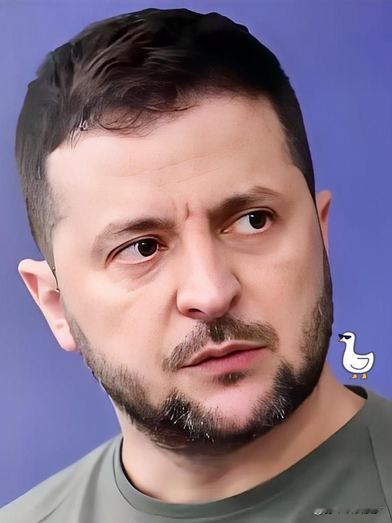 12月24日，据央视新闻报道，
乌克兰执政党议会党团主席阿拉哈米亚宣布，中央选举