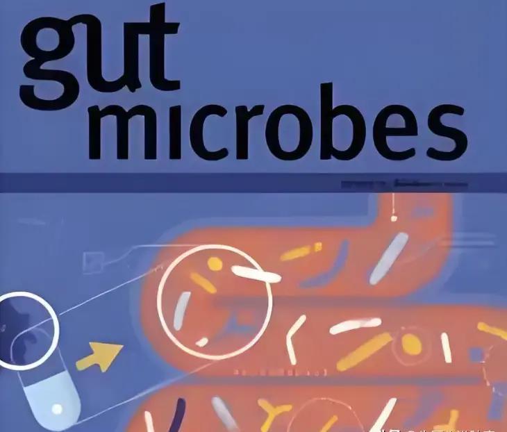日本发现抗癌细菌效果奇好，我分析有这几点原因。
 
1. 你看日本那个研究，从树