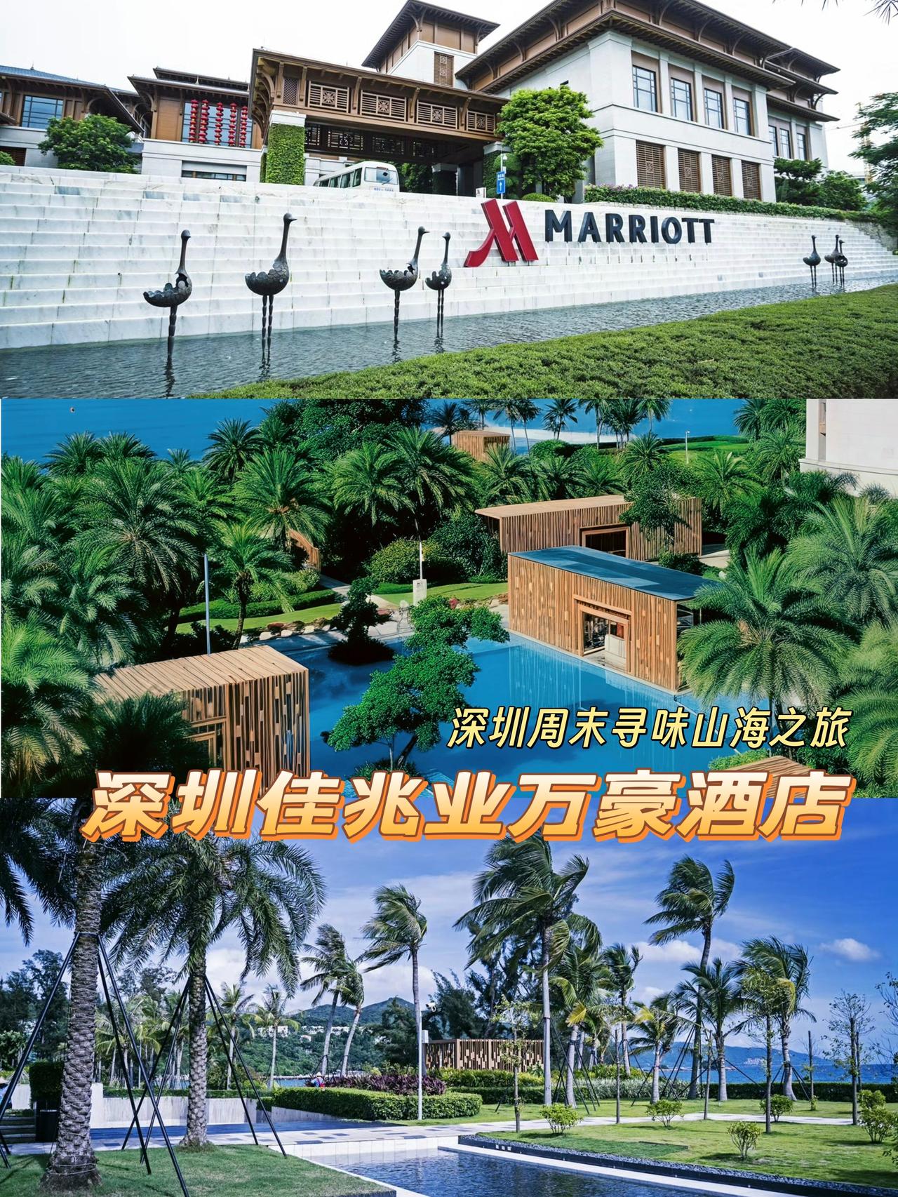 没想到周末的正确打开方式是这样！🌊

从海平线的第一缕阳光，到餐桌上的极致美馔