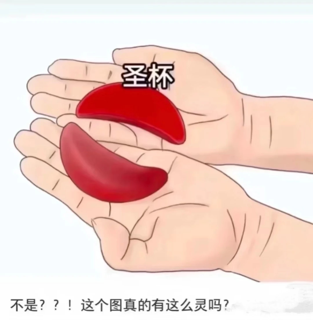 玄学圣杯很灵的！