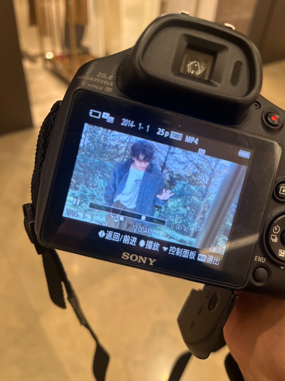 洋娃娃 