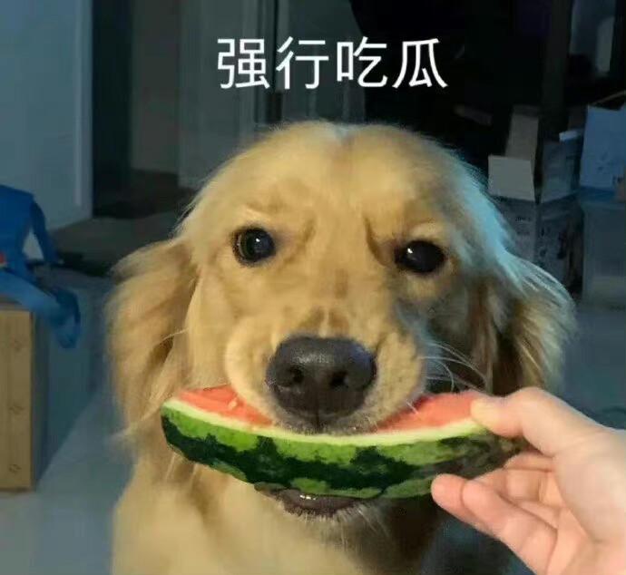 表情包