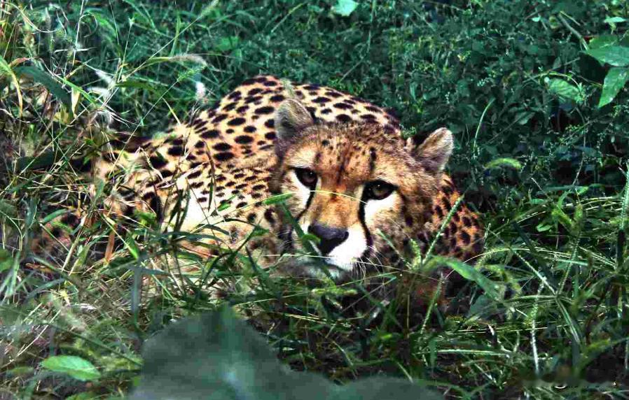 这个世界静比动要难得多。其实股市也是这样，一定等自己认知范围内的投资机会出现。
