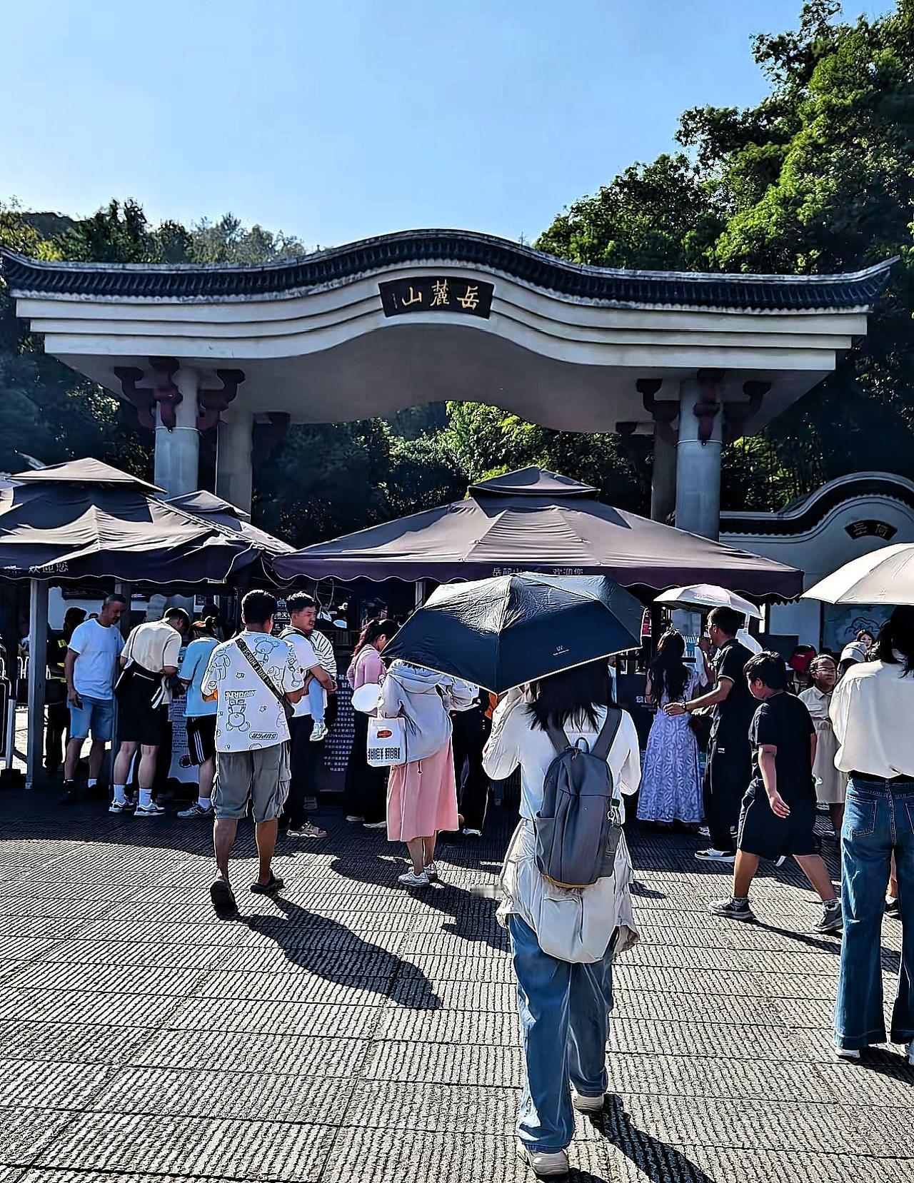 说真的，昨天爬完岳麓山，才算摸清它最让人膈应的地方——既不是山上的电视塔，也不是