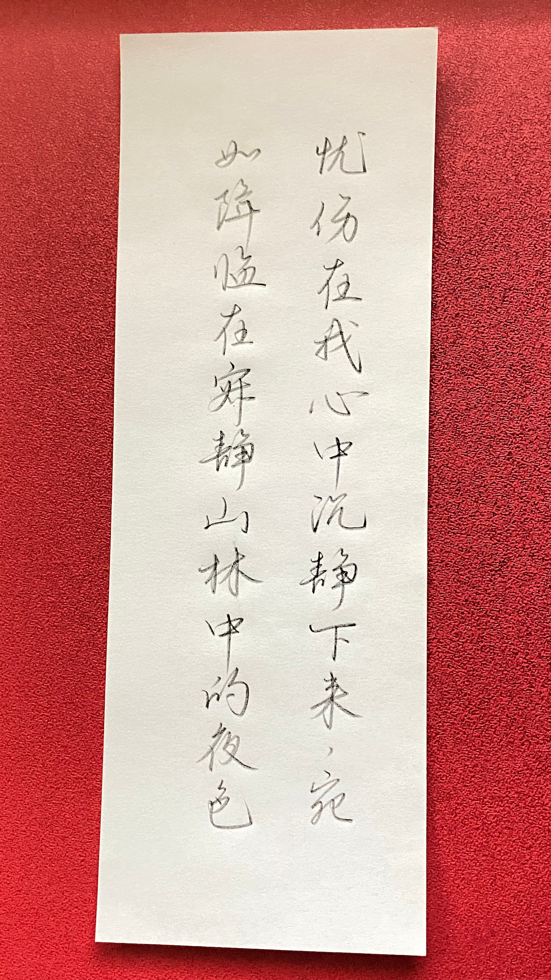 今日作业（2025.1.10）忧伤在我心中沉静下来，宛如降临在寂静山林中的夜色。