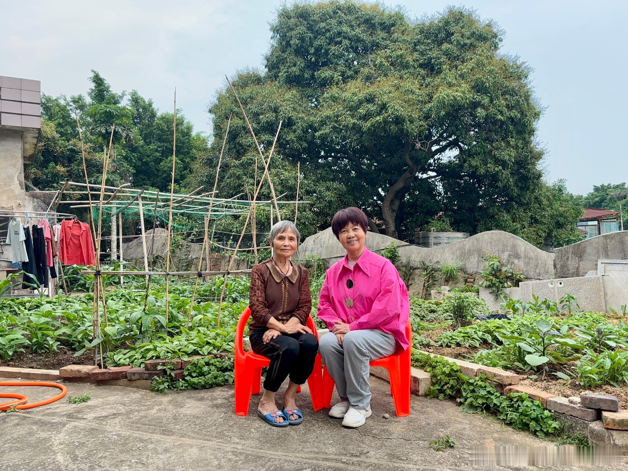 随笔这一张2025年5月1日拍于客家小妹的家。我们都是客家人，她的老家是永定陈东