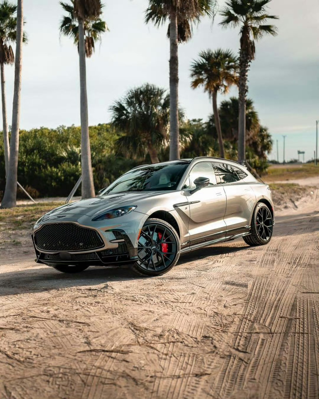 阿斯顿·马丁 DBX S