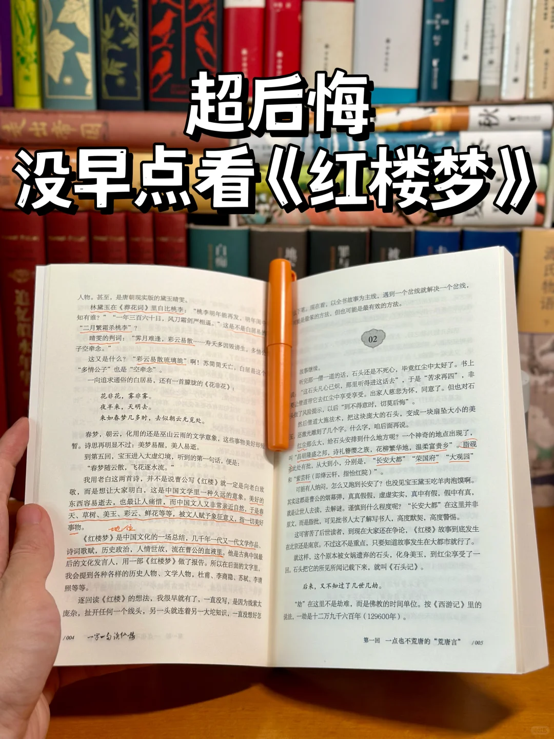 感谢这本书📖让我有了阅读红楼梦的冲动‼️