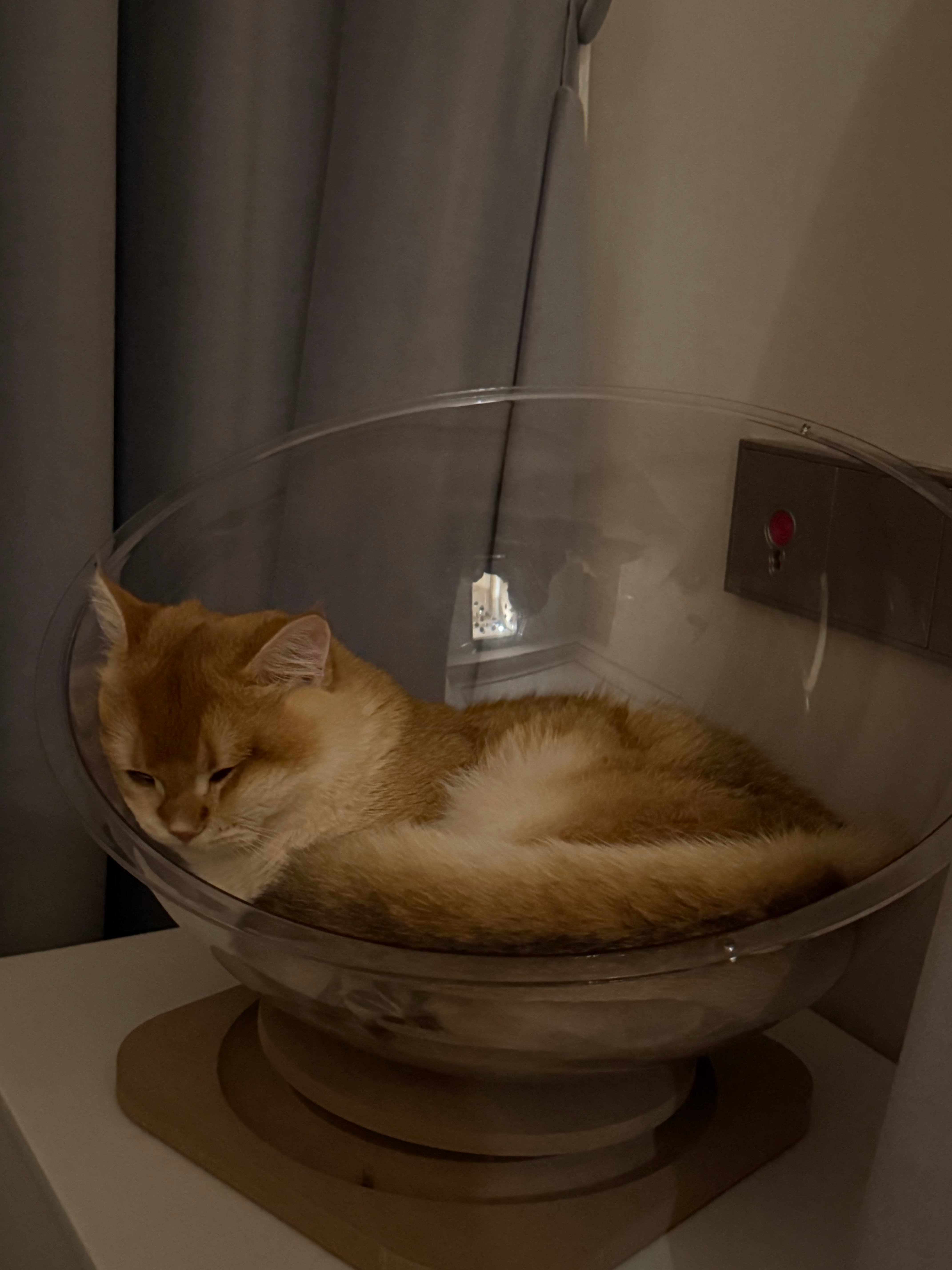 我真的拿小树没办法，我感觉我将来要是当妈妈肯定是特别溺爱孩子的那种因为之前在小号