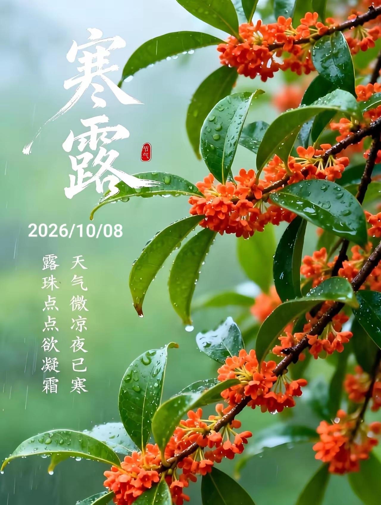 寒露萧萧染翠冈，
清风送爽桂留香。
晨昏渐冷多珍重，
岁岁无忧福运长。
[心]