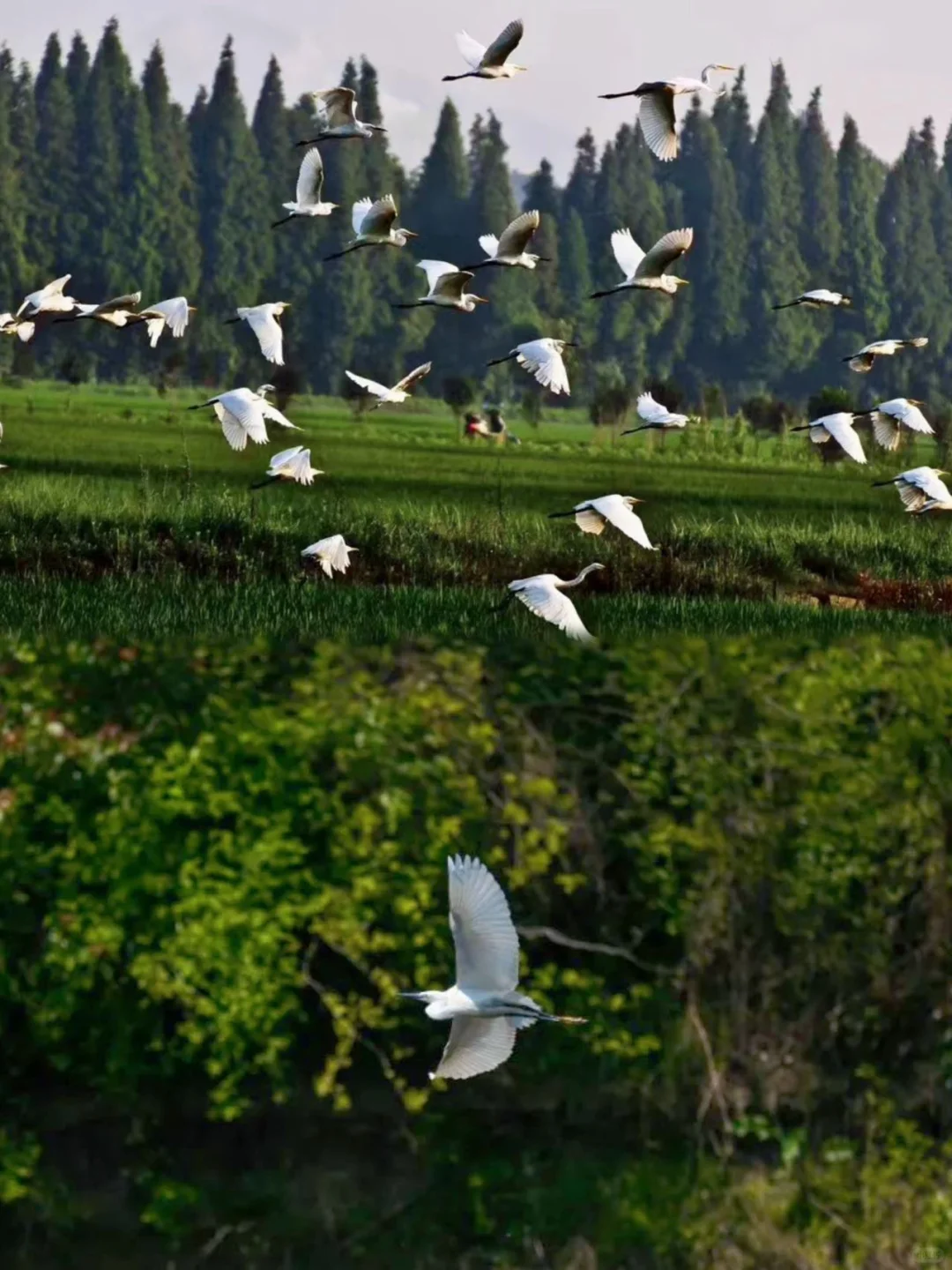 🌈追随央视，打卡西塞山《山水间的家》同款地