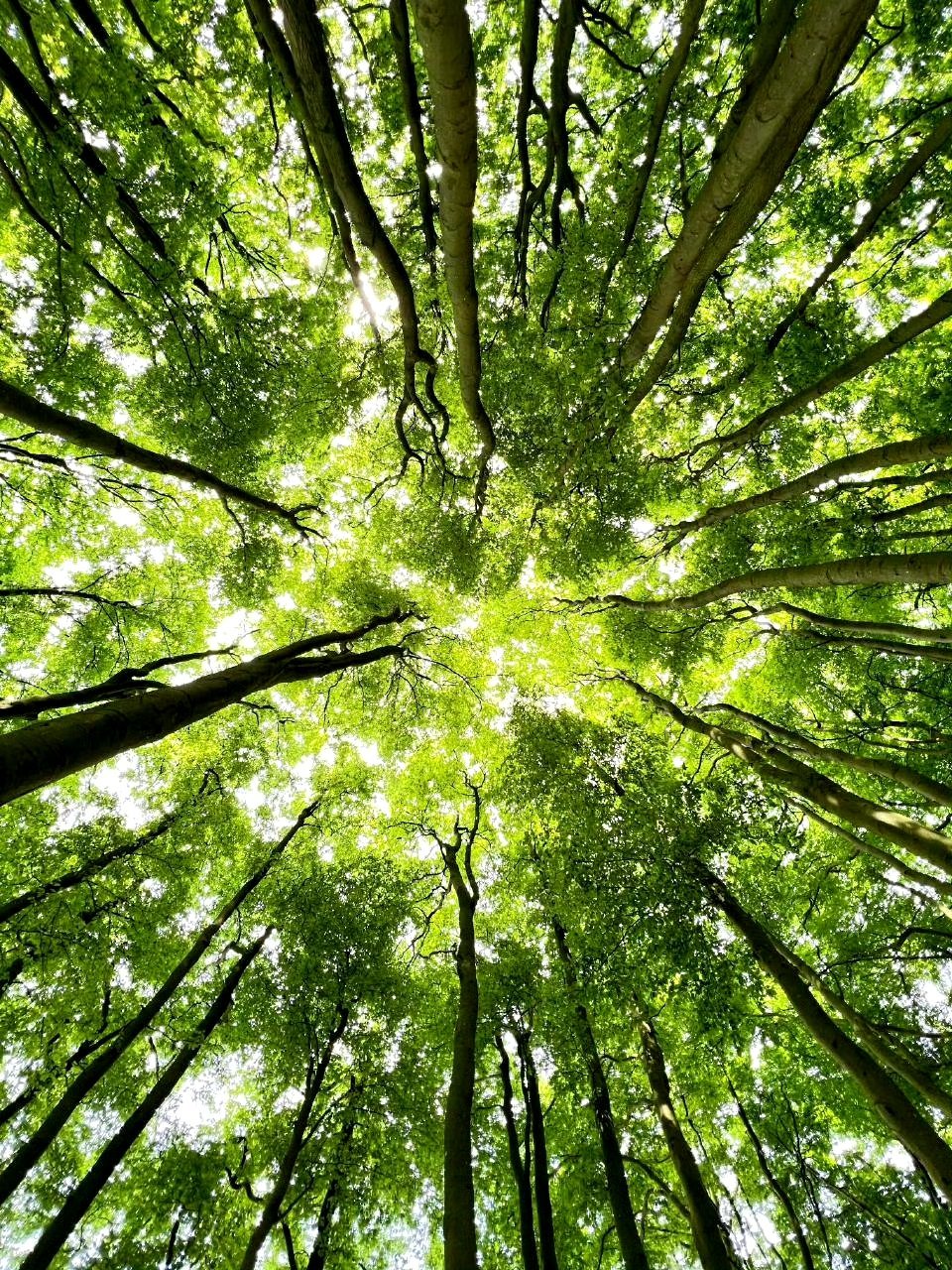 “非常实在的一段话：”"基因这东西，你不服不行。孩子长大后，尤其是男孩，骨子里带