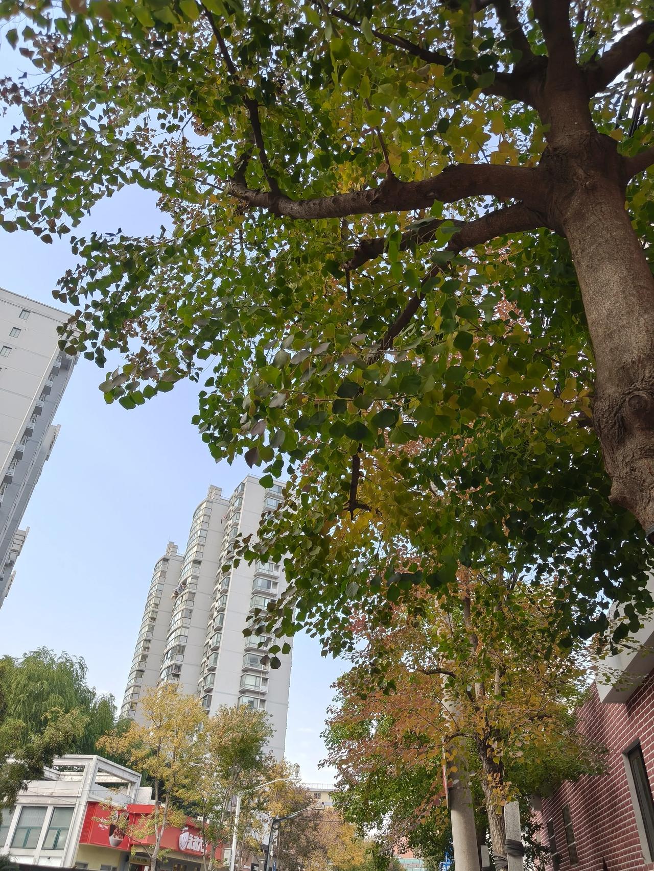 世间寒意漫来时，总会被一壶热茶温柔的化解。

生活，无非是一饭一蔬，一朝一暮的寻