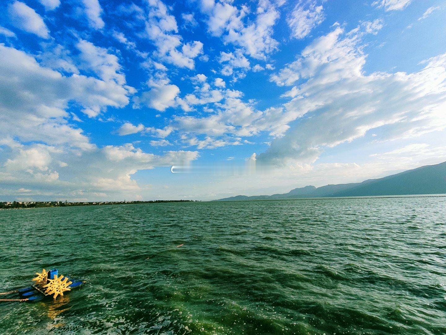 午盘指数小幅分化，板块轮动较快，波动都属常态～家人们放平心态，稳住节奏，午后行情