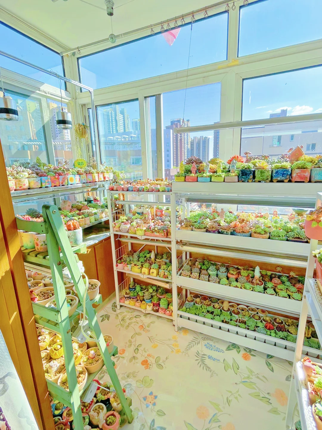 暖洋洋的花房，你们喜欢么。