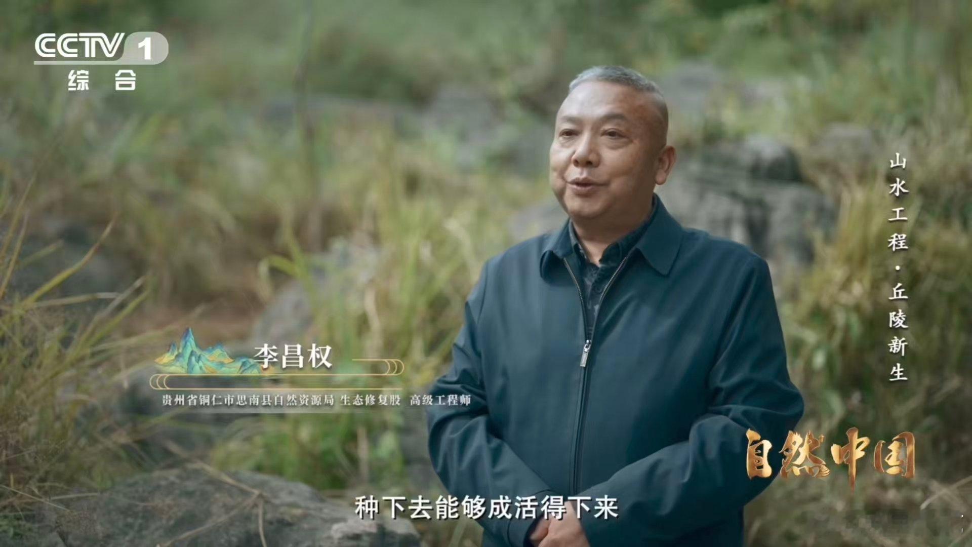 荒山秃岭如今变青山石漠化治理让荒山披绿装 石漠化曾让乌江畔满目疮痍，土壤稀薄难育