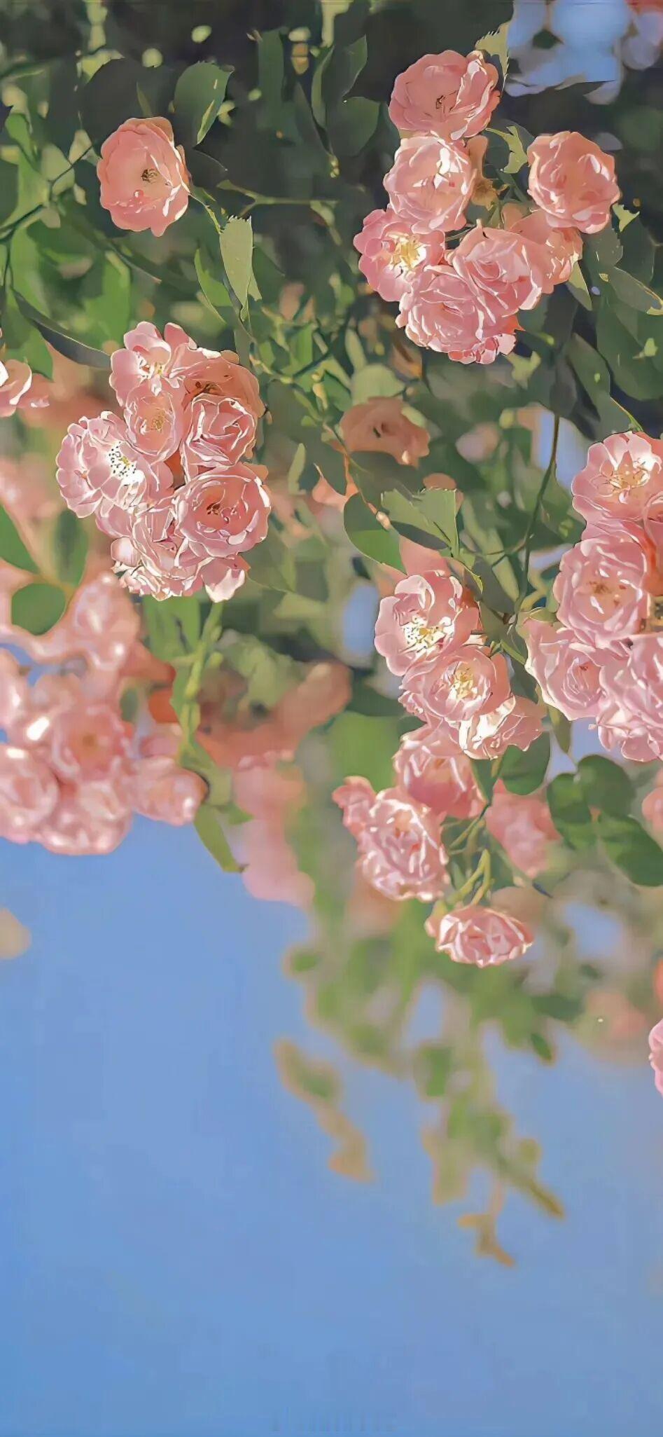 “我们曾在某段路上，共享过同一片天空，倾诉过同一份迷茫，为同一个目标努力过，这就