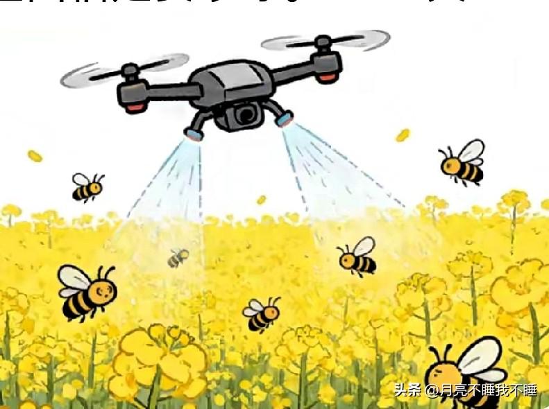 官方严打！油菜花期乱喷药，这下真要追责了

官方对农药违法行为的打击力度加大，特