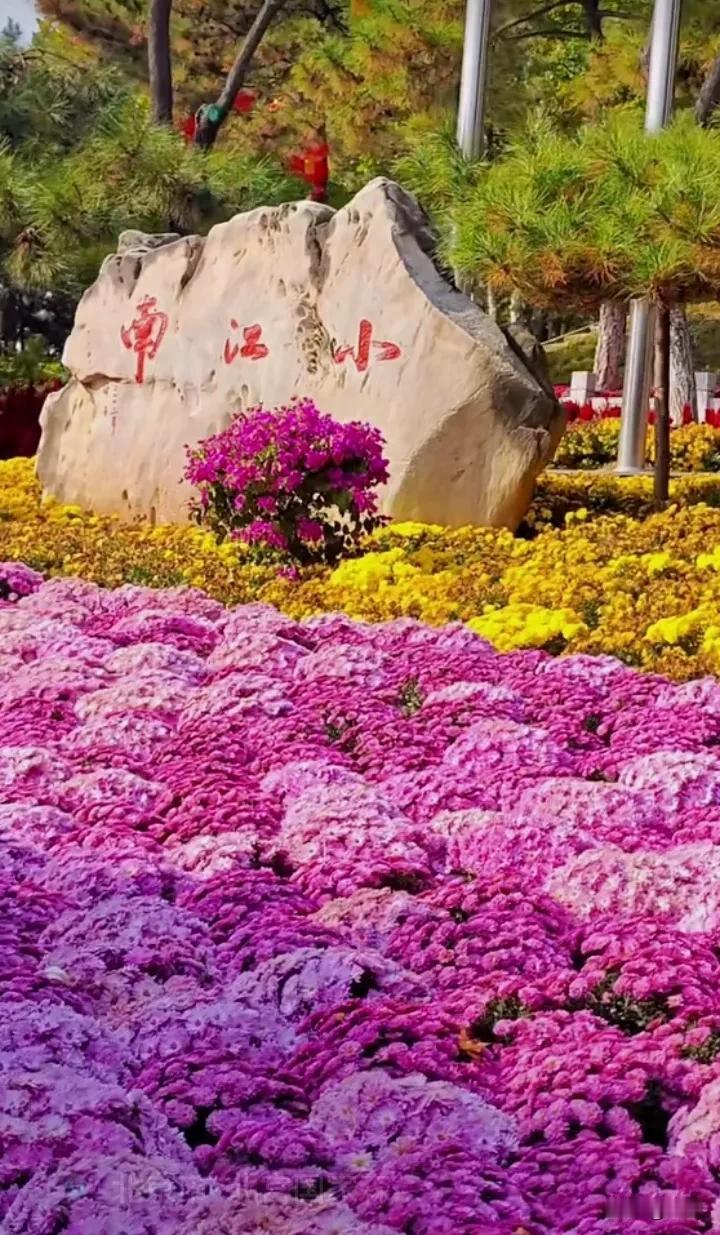 这是我拍摄于北京丰台区北宫门国家森林公园门前风景秀丽的小江南一角。