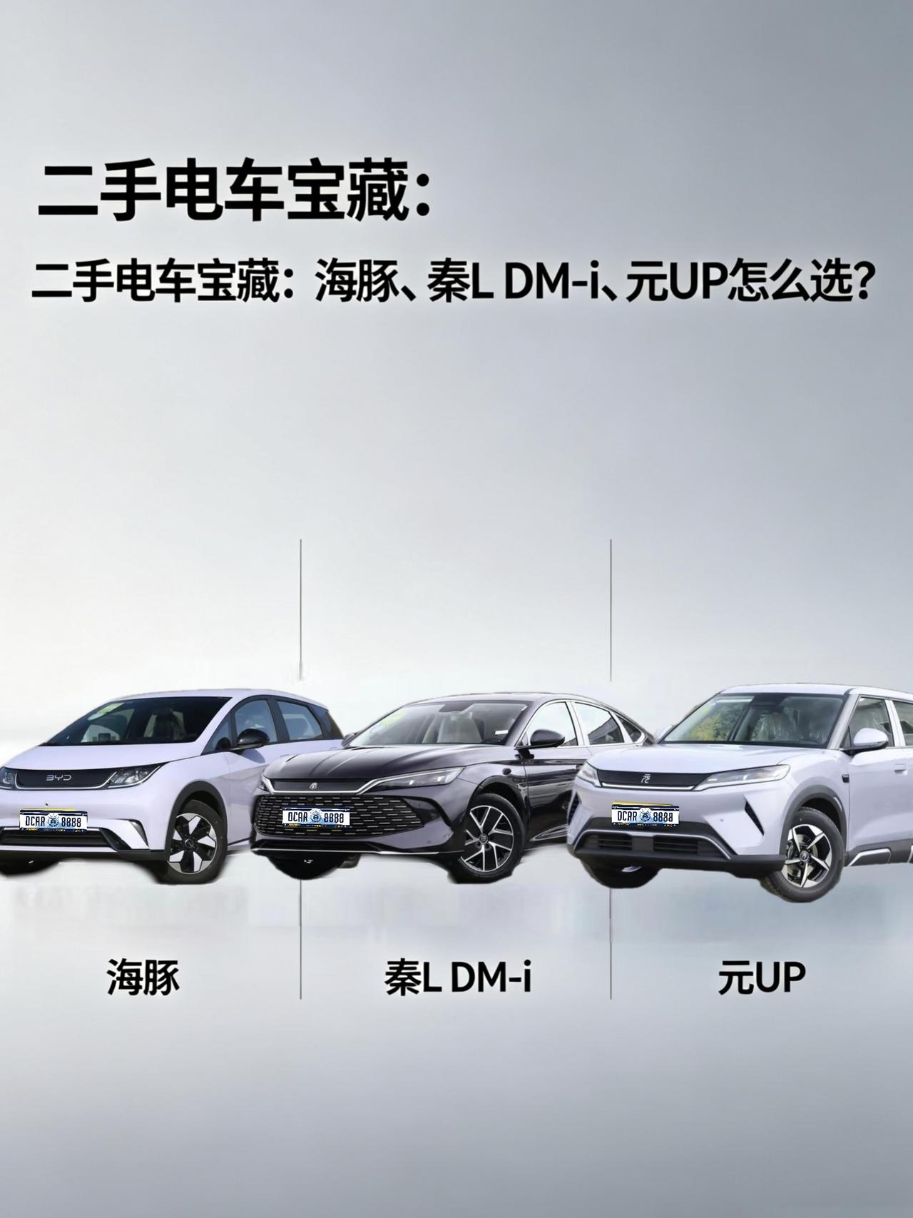 二手电车宝藏：海豚、秦L DM-i、元UP怎么选？
兄弟们，你们有没有发现，现在